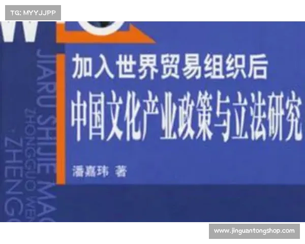 中国足球与巴西球队发展历程深度历史比较与启示研究全面探讨分析